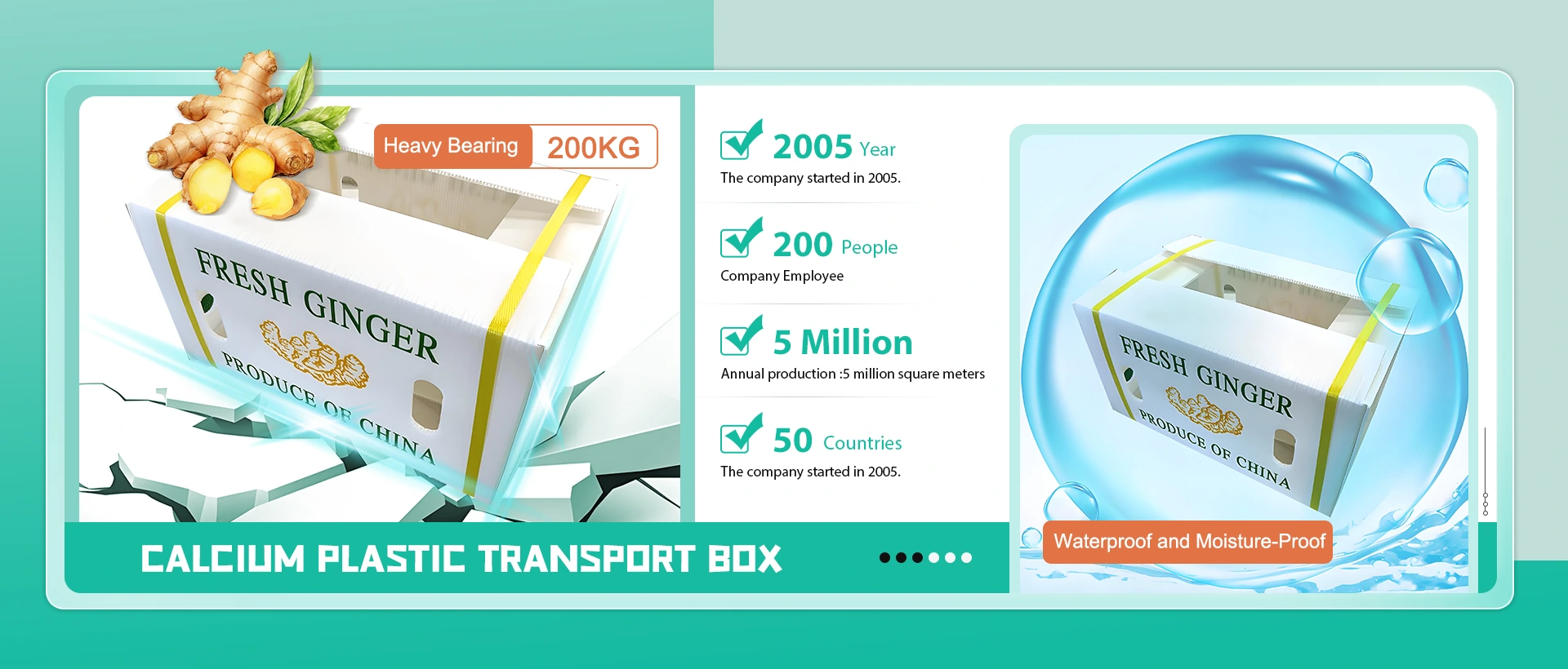 Kina Proizvođač kalcija plastične transportne kutije